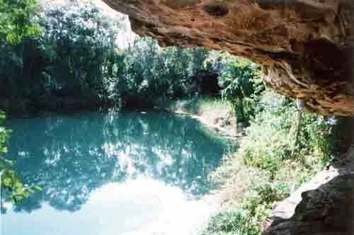 Cenote Sabak Ja, Municipio de Sacalum. Fotografía tomada por: Carlos Evia
