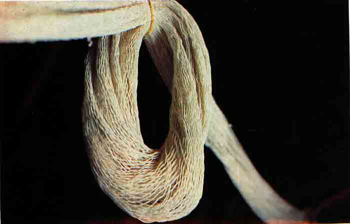 Hamaca de fibra de henequén (sosquil).