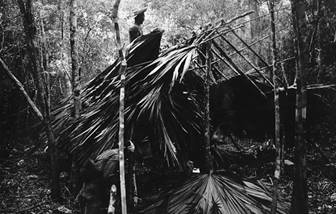 Diego visita un campamento cercano en el que los chicleros están poniendo el techo de su choza temporal. Cerca del Campamento Antonio Ay, 1971.