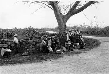 Trabajadores de henequén esperan el transporte a su casa después de un laborioso día en los campos. Ruinas de Aké, 1976.