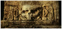 19. Templo XII, Palenque, 1986 Impresin en gelatina de plata 24 x 20 pulgadas 