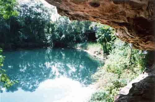 Cenote Sabak Ja, Municipio de Sacalum. Fotografía tomada por: Carlos Evia