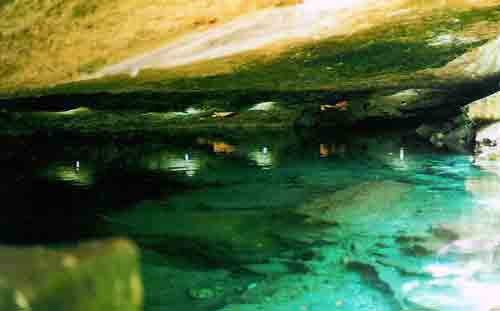 Kantun Chi, Municipio de Solidaridad, Quintana Roo. Fotografía tomada por: Fátima Tec