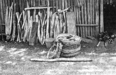 "Rollos" de bejuco e instrumentos utilizados para recolectarlo.