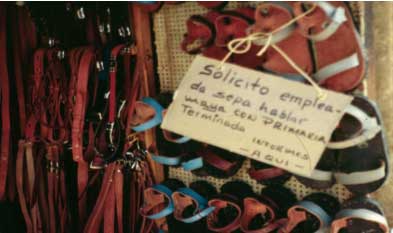 Fotografía: Ella Fanny Quintal Avilés