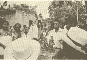 San Isidro y sus santos invitados durante el baile de la "Cabeza de Cochino" en Temozón, Yucatán
