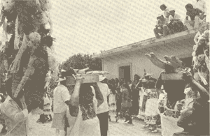 Baile de ramilletes y "Cabeza de cochino" en Temozón Yucatán.