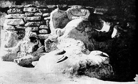 Foto 5- Mascarón modelado en estuco de la subestructura del Templo de los Mascarones