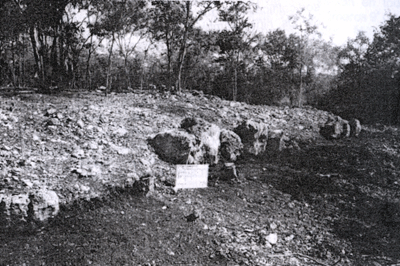 Figura 5. Detalle del muro sur del basamento de la Estructura 9