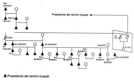 Figura 49. Familia Ku Blanco y su parentela. Rumbo a Xnohuayab.