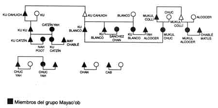 Figura 50. Composición de la sociedad de solidaridad social maya'ob.