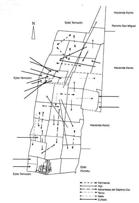Figura 31. Parcelas del ejido Ek'Balam y relaciones de paarentezco entre parcelarios.